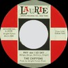 Click for larger scan - The Chiffons - Why Am I So Shy (Laurie 3179)